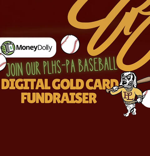 Ocean Beach News Article: Digital Gold Card Fundraiser for PLHS Baseball Boosters