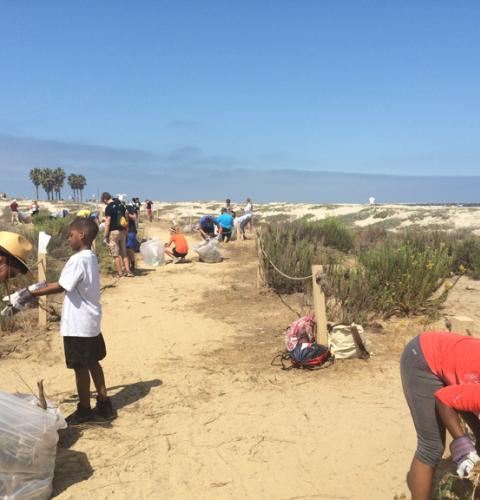 Coastal Habitat Restoration with San Diego River Park Foundation