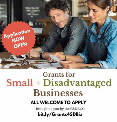 Ocean Beach News Article: Small + Disadvantaged Business Grant Opportunity