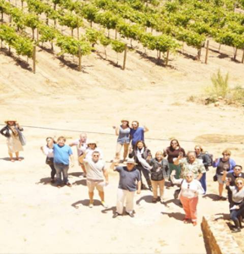 Valle de Guadalupe Tour with The Wine Pub