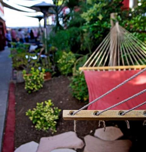 Ocean Beach Hostel Hammock