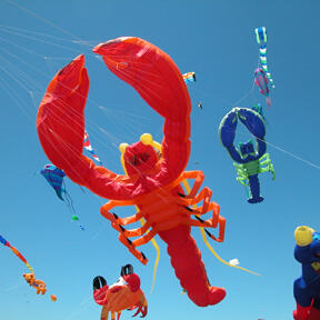 Click to view OB Kite Festival page