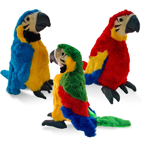 Ocean Beach Product: OB Parrots