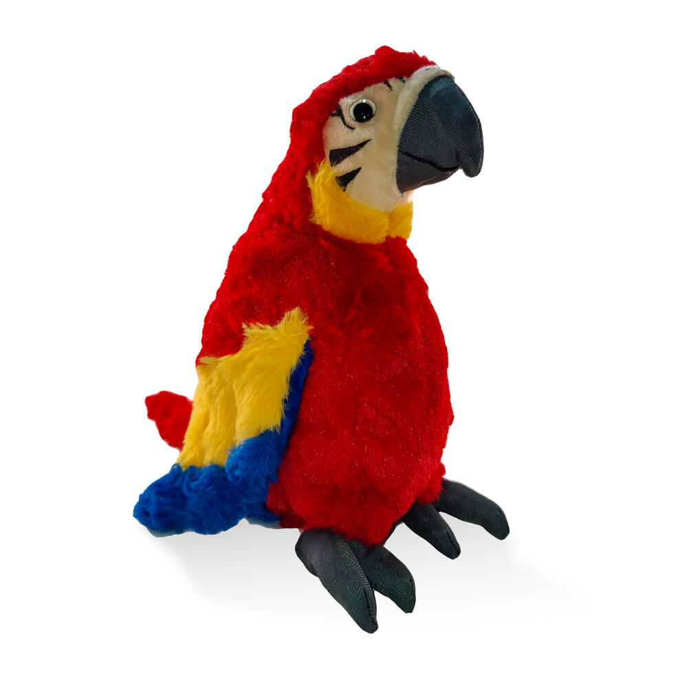 Plush Parrot Red Ocean Beach San Diego CA Product
