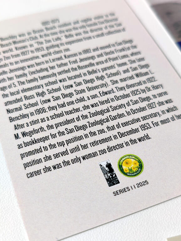 Ocean Beach Product: OB Story Cards - Series 1