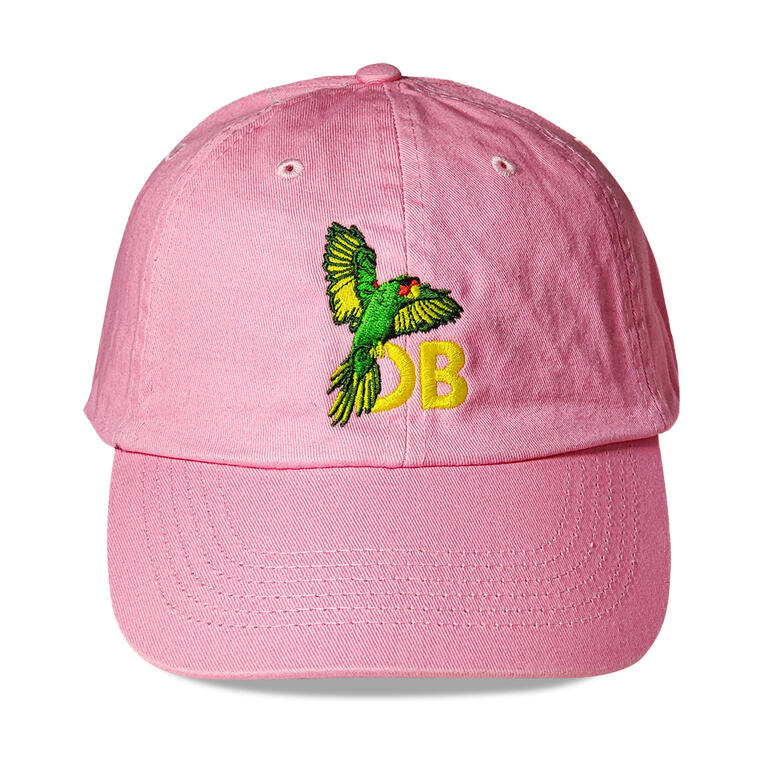 Ocean Beach Product: OB Ballcap, Parrot Pink
